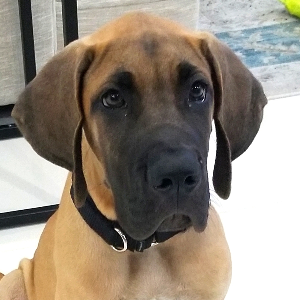 Meet your Posher, Nancy